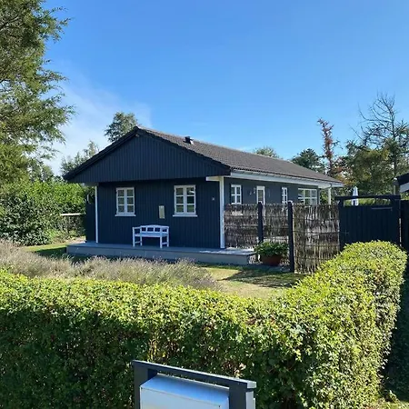 Skonneste Hus