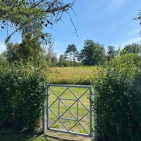 Skonneste Hus Dannemare